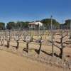 Masia de ensueño con terreno grandioso a la venta entre Barcelona y Girona, en Tordera